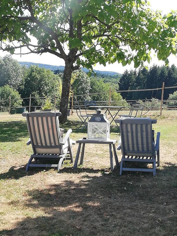 Chambre D'Hote Equestre Au Petit Bonheur Chateldon エクステリア 写真