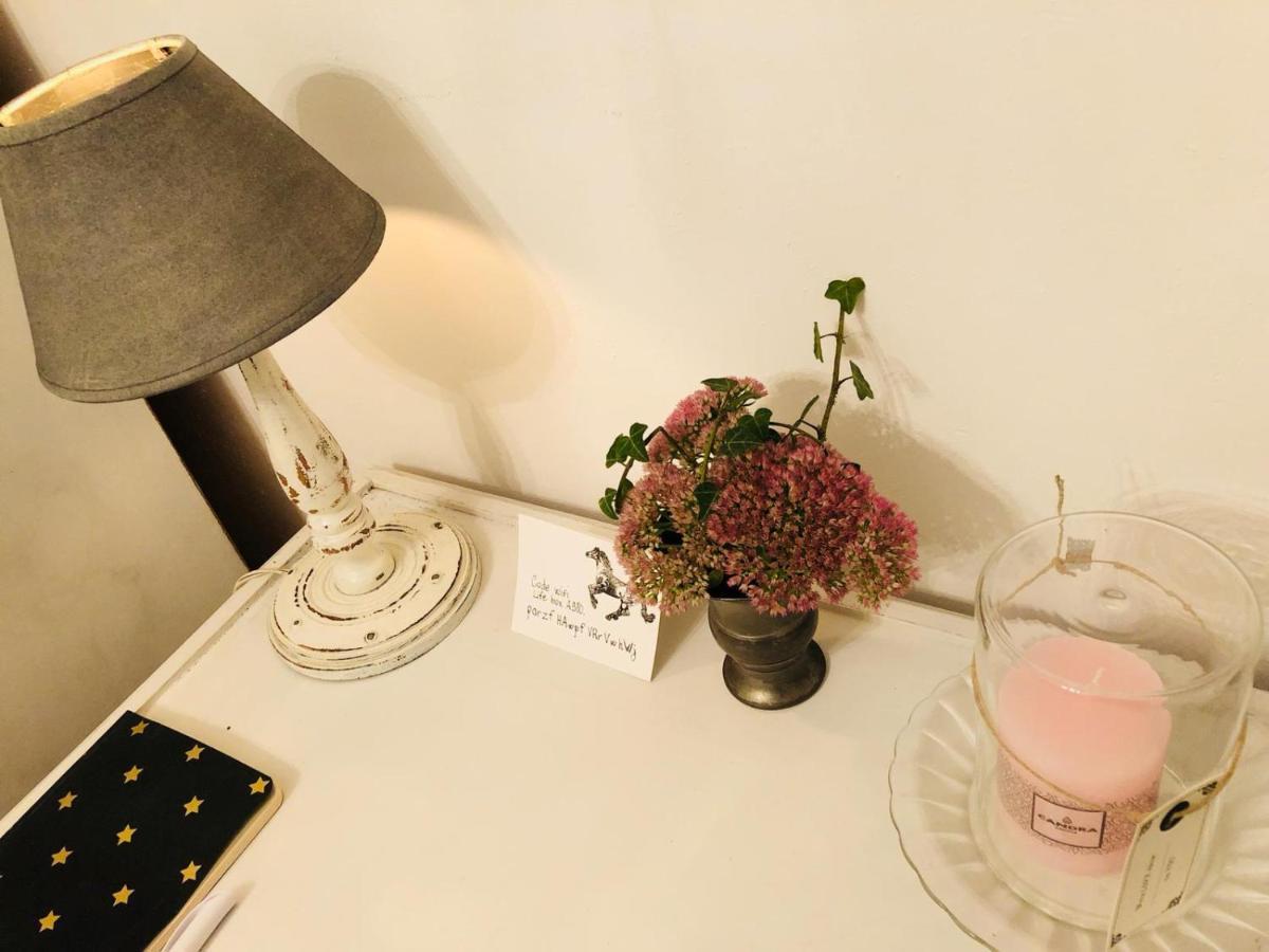 Chambre D'Hote Equestre Au Petit Bonheur Chateldon エクステリア 写真